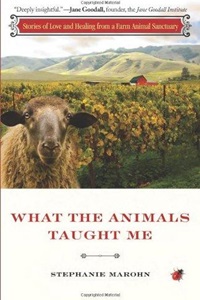 What the Animals Taught Me
