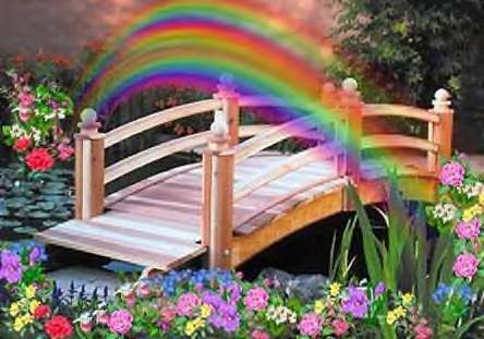 rainbow bridge graphic