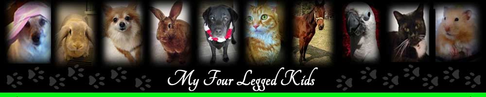 ** PLEASE DESCRIBE THIS IMAGE **